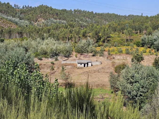 Terreno Agricola ou Rústico para Venda em São Martinho da Cortiça Foto 16