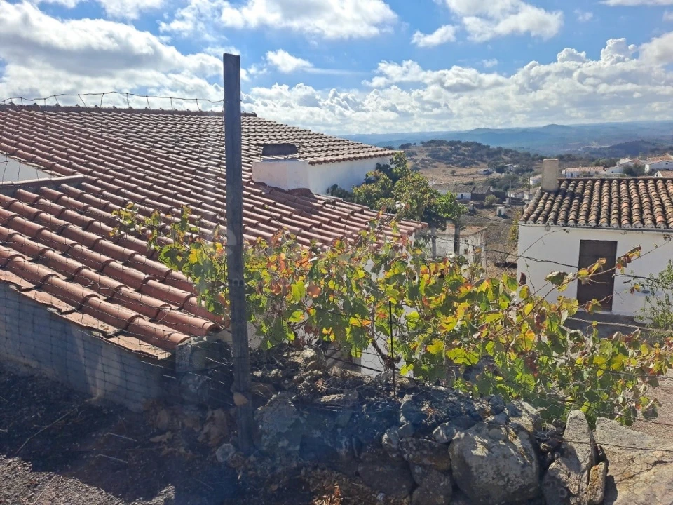 Quinta T4 para Venda em Martim Longo Foto 5