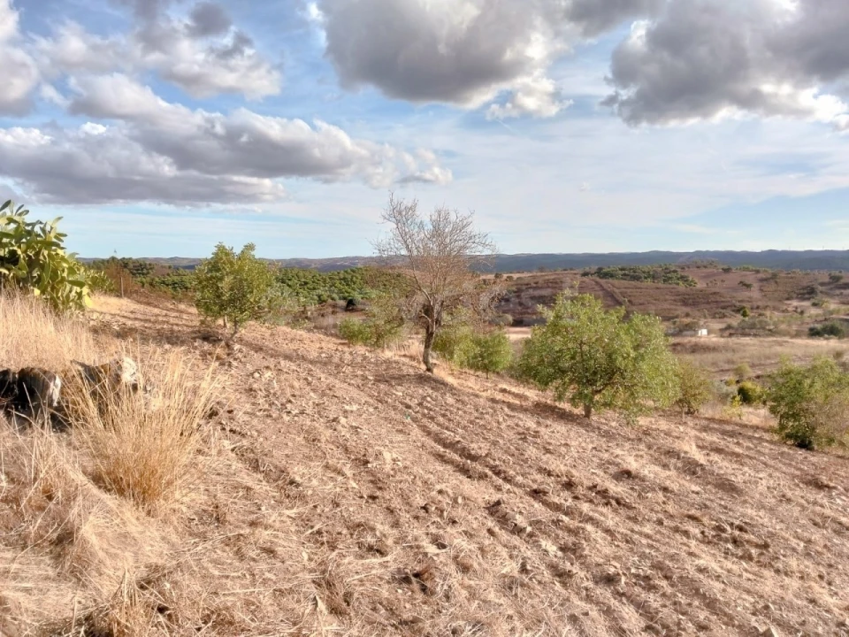 Quinta T4 para Venda em Martim Longo Foto 16