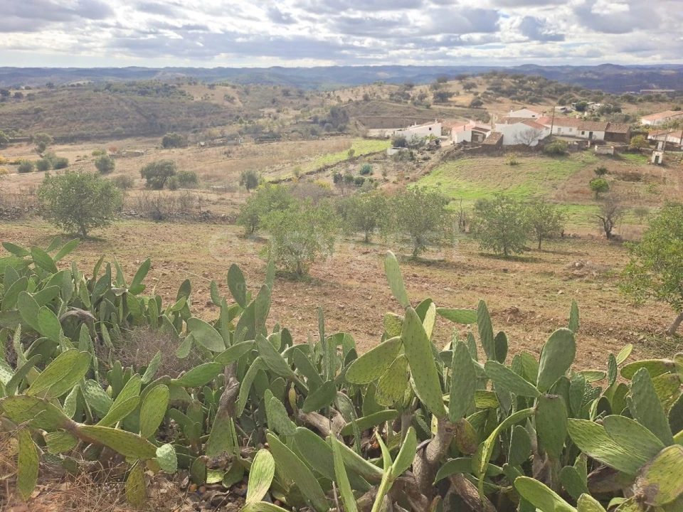 Quinta T4 para Venda em Martim Longo Foto 27