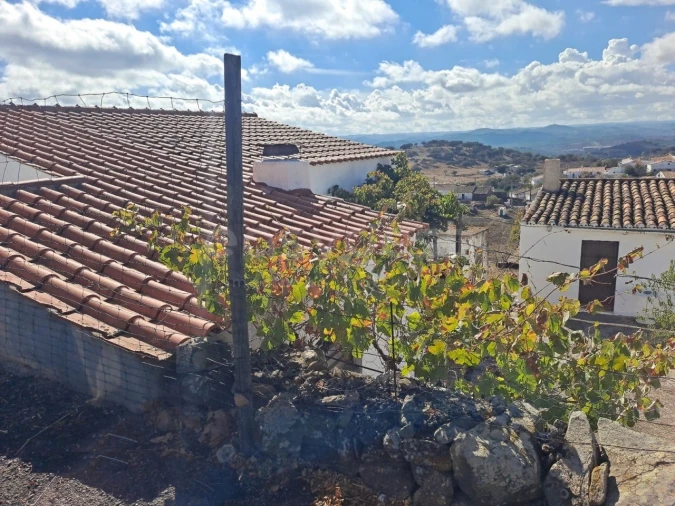 Quinta T4 para Venda em Martim Longo Foto 5