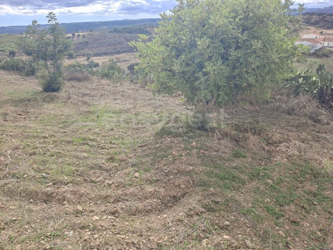 Quinta T4 para Venda em Martim Longo Foto 19