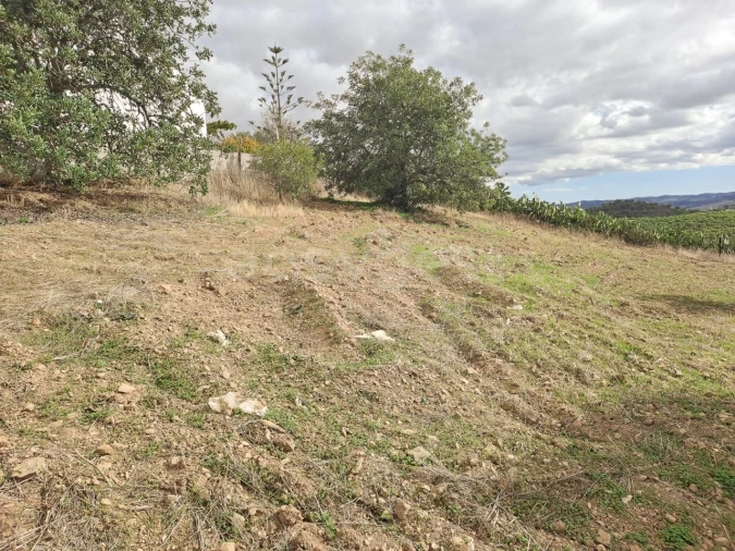 Quinta T4 para Venda em Martim Longo Foto 26