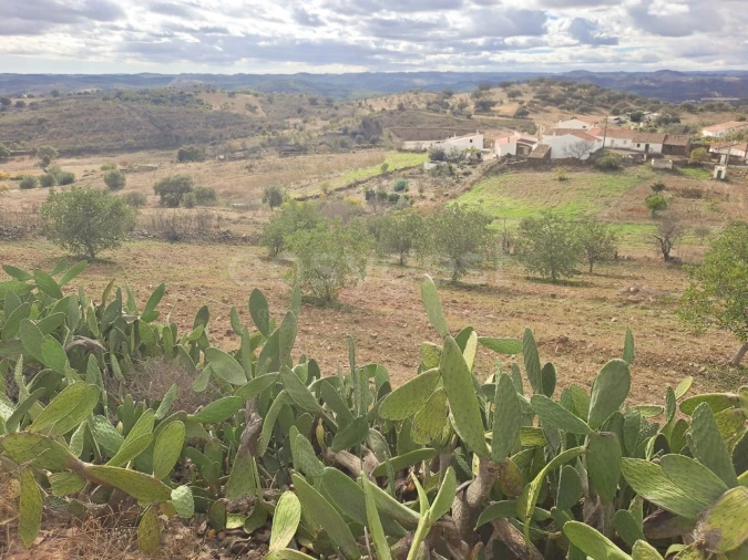 Quinta T4 para Venda em Martim Longo Foto 27