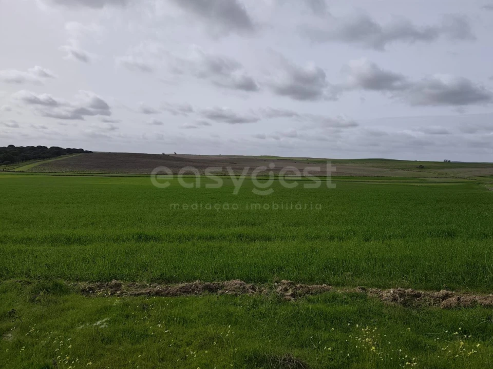 Terreno Agricola ou Rústico para Venda em Aljustrel e Rio de Moinhos Foto 1