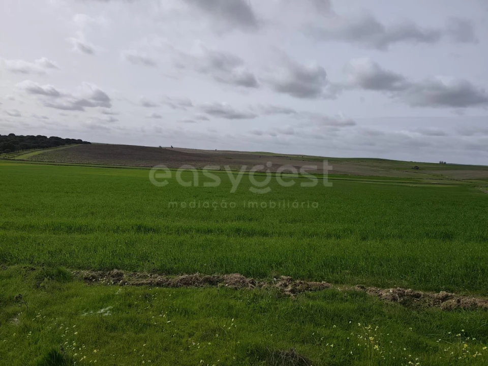 Terreno Agricola ou Rústico para Venda em Aljustrel e Rio de Moinhos Foto 5