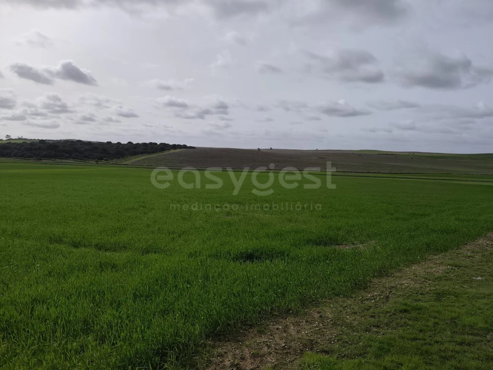 Terreno Agricola ou Rústico para Venda em Aljustrel e Rio de Moinhos Foto 17
