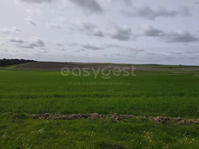 Terreno Agricola ou Rústico para Venda em Aljustrel e Rio de Moinhos Foto 1