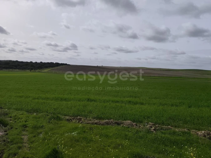 Terreno Agricola ou Rústico para Venda em Aljustrel e Rio de Moinhos Foto 2