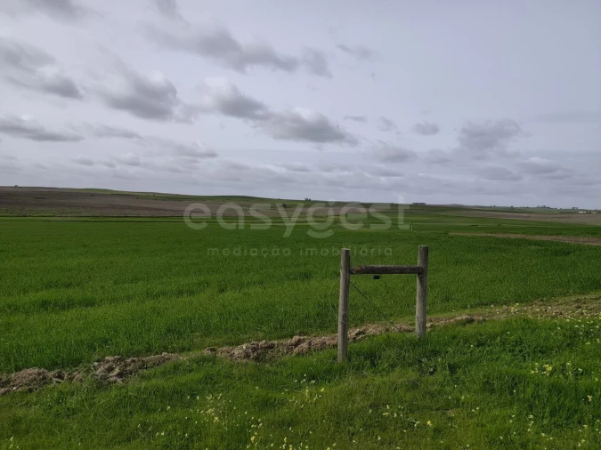 Terreno Agricola ou Rústico para Venda em Aljustrel e Rio de Moinhos Foto 4