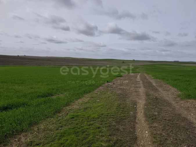 Terreno Agricola ou Rústico para Venda em Aljustrel e Rio de Moinhos Foto 11