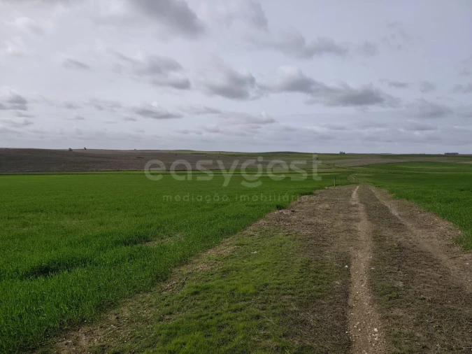 Terreno Agricola ou Rústico para Venda em Aljustrel e Rio de Moinhos Foto 15