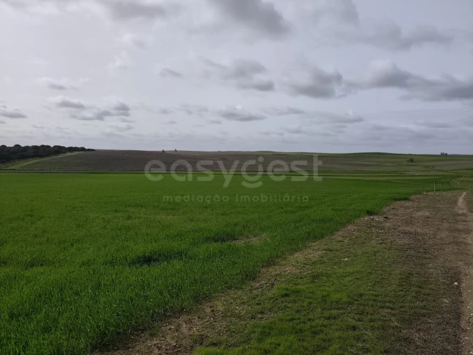 Terreno Agricola ou Rústico para Venda em Aljustrel e Rio de Moinhos Foto 16