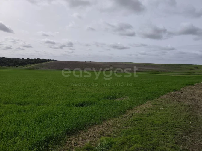 Terreno Agricola ou Rústico para Venda em Aljustrel e Rio de Moinhos Foto 19