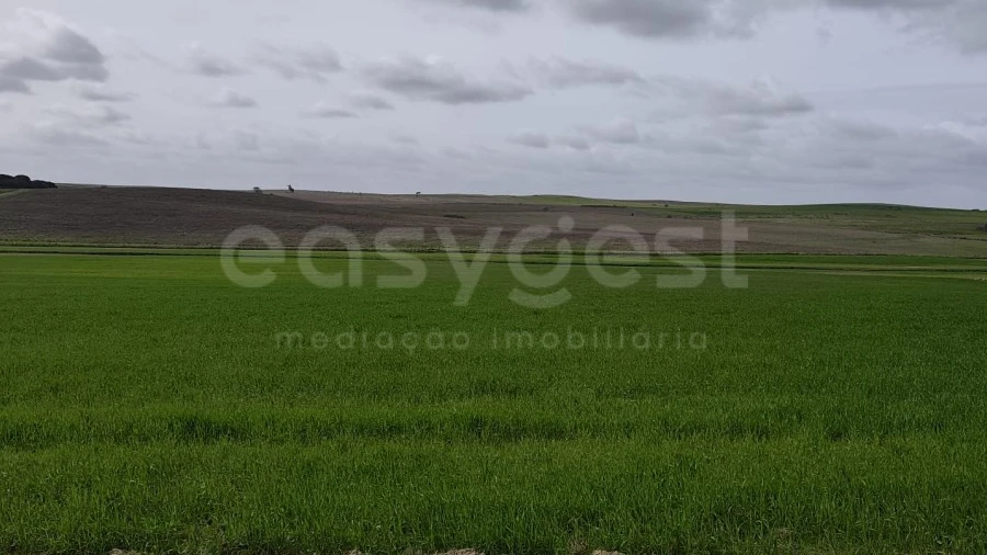 Terreno Agricola ou Rústico para Venda em Aljustrel e Rio de Moinhos