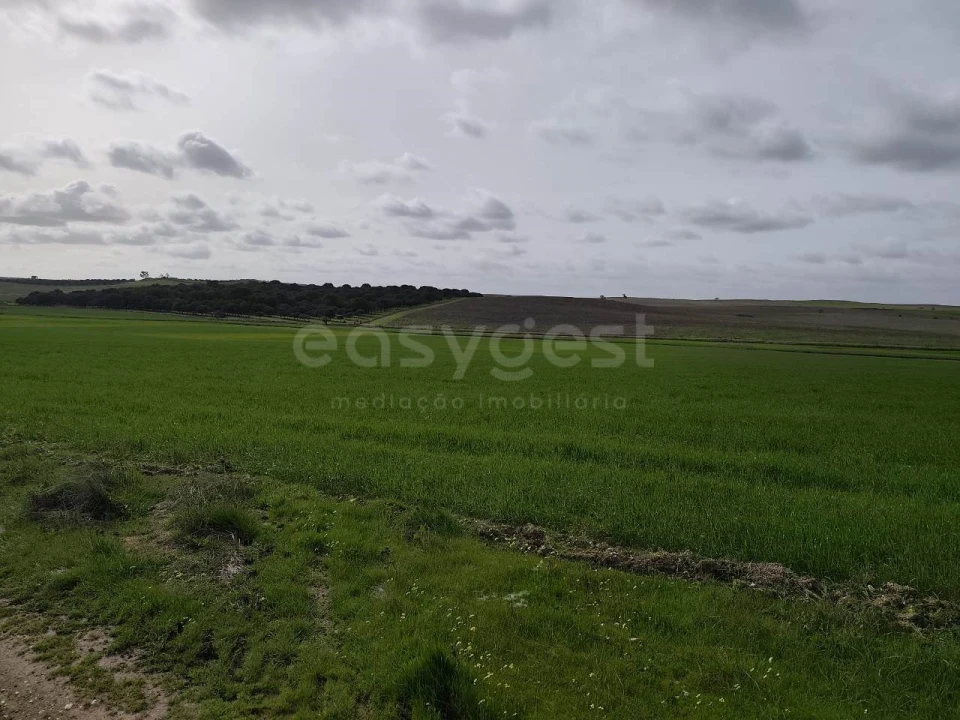 Terreno Agricola ou Rústico para Venda em Aljustrel e Rio de Moinhos Foto 2