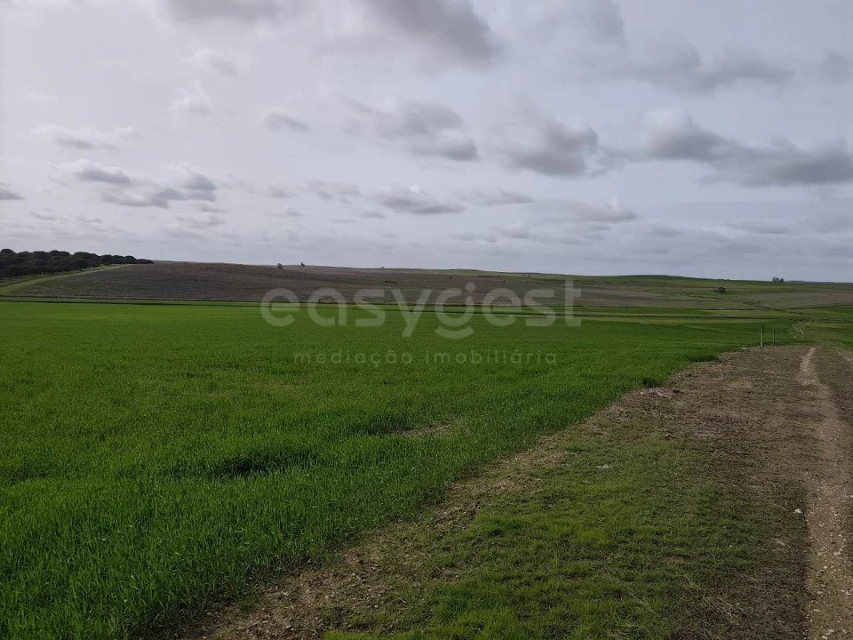 Terreno Agricola ou Rústico para Venda em Aljustrel e Rio de Moinhos Foto 5
