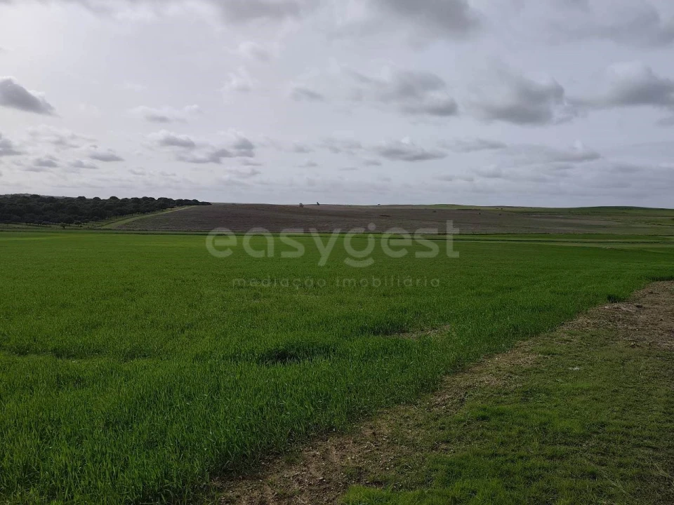 Terreno Agricola ou Rústico para Venda em Aljustrel e Rio de Moinhos Foto 6