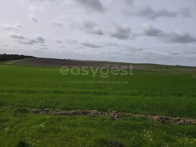 Terreno Agricola ou Rústico para Venda em Aljustrel e Rio de Moinhos Foto 1