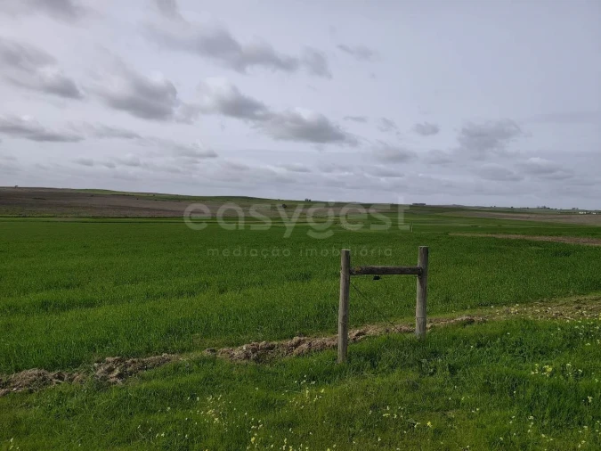Terreno Agricola ou Rústico para Venda em Aljustrel e Rio de Moinhos Foto 3