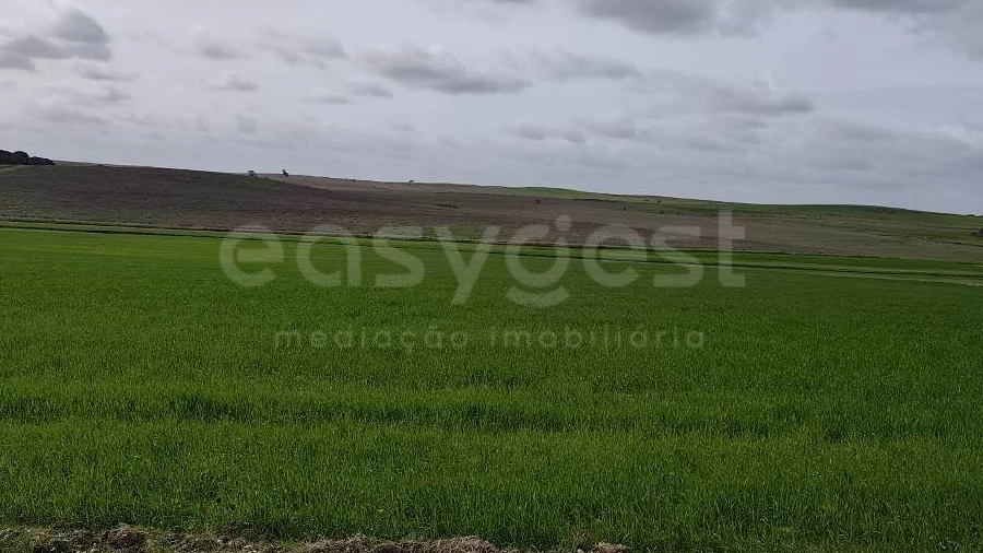 Terreno Agricola ou Rústico para Venda em Aljustrel e Rio de Moinhos