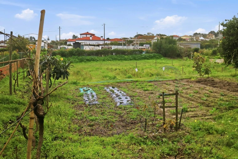 Moradia para Venda em Gambia-Pontes-Alto da Guerra Foto 6