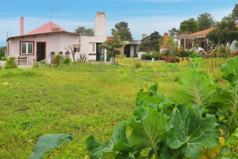 Moradia para Venda em Gambia-Pontes-Alto da Guerra Foto 23