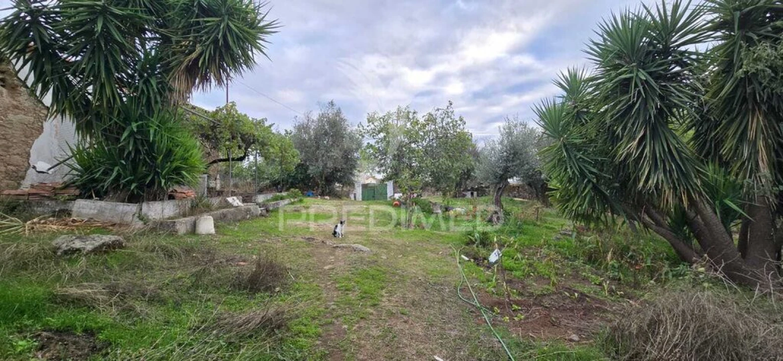 Quinta T2 para Venda em Ribeira de Nisa e Carreiras Foto 7