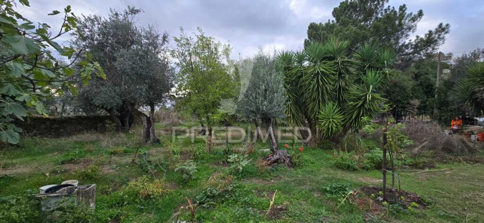 Quinta T2 para Venda em Ribeira de Nisa e Carreiras Foto 6