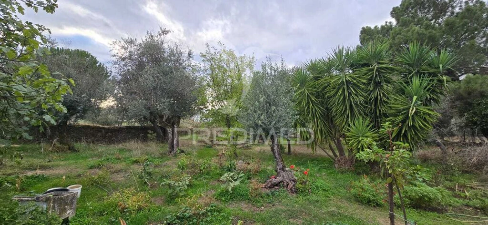 Quinta T2 para Venda em Ribeira de Nisa e Carreiras Foto 9