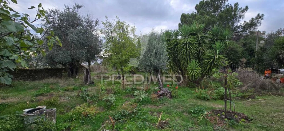 Quinta T2 para Venda em Ribeira de Nisa e Carreiras Foto 6