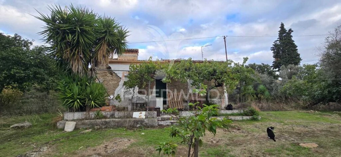 Quinta T2 para Venda em Ribeira de Nisa e Carreiras Foto 8