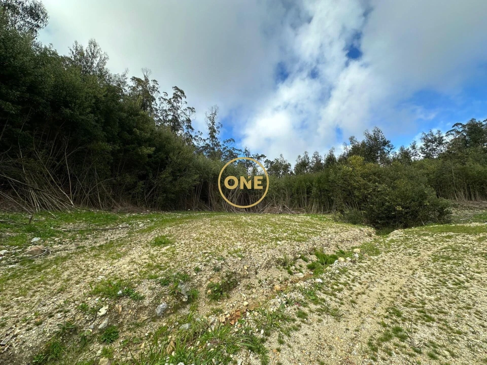 Terreno para Venda em Laundos Foto 5