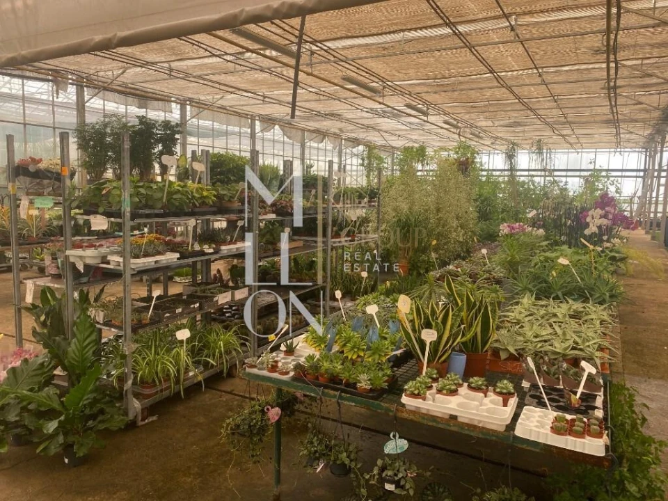 Terreno para Venda em Lagoa e Carvoeiro Foto 20