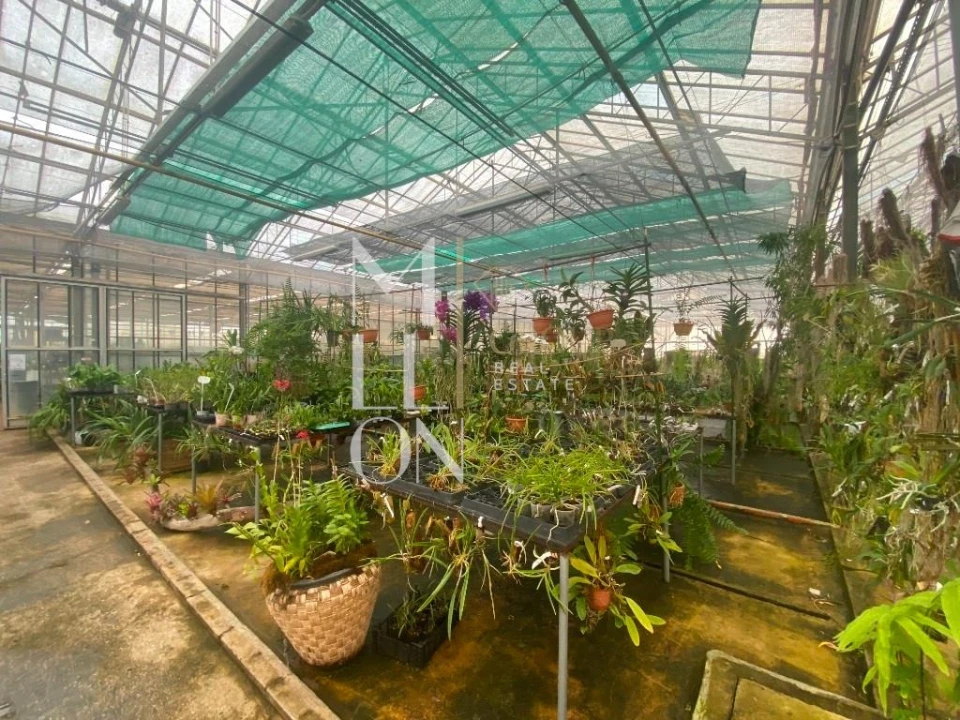 Terreno para Venda em Lagoa e Carvoeiro Foto 23