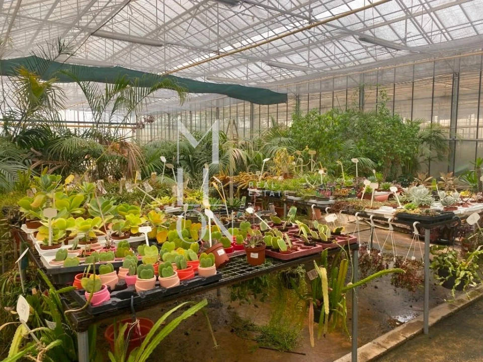 Terreno para Venda em Lagoa e Carvoeiro Foto 25