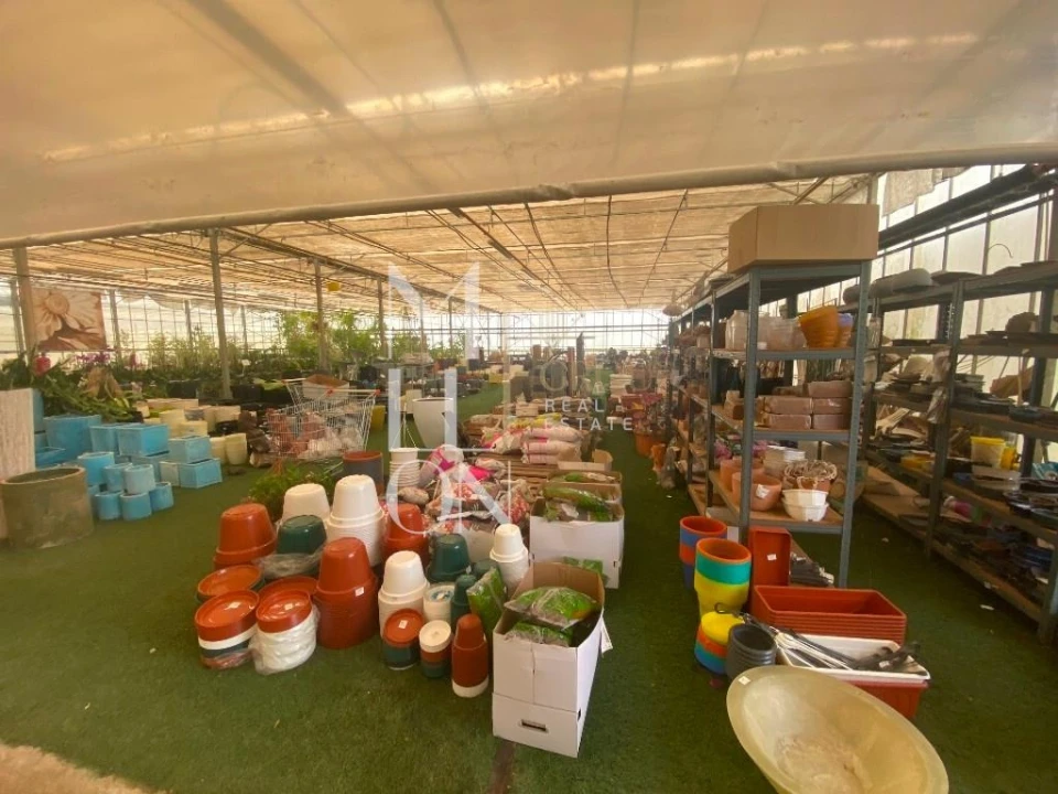 Terreno para Venda em Lagoa e Carvoeiro Foto 34