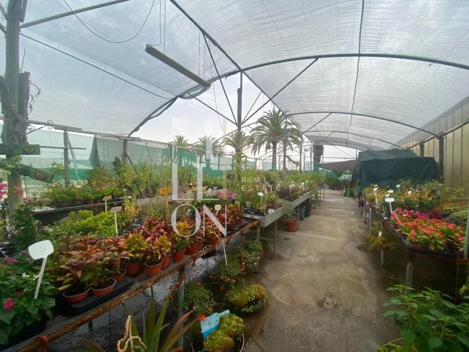 Terreno para Venda em Lagoa e Carvoeiro Foto 38