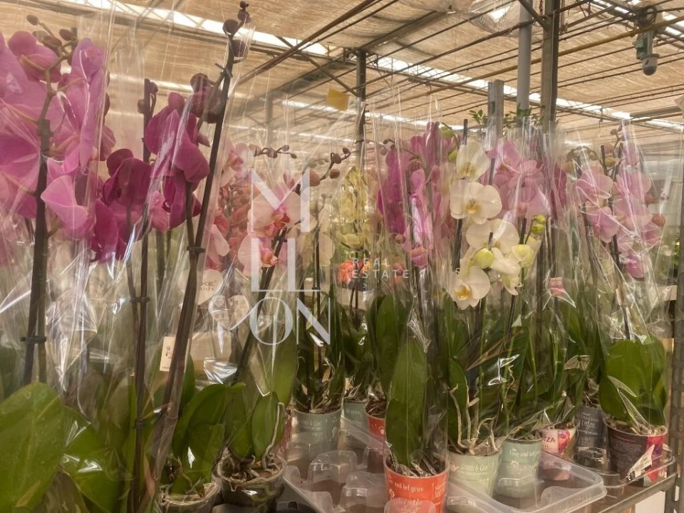 Terreno para Venda em Lagoa e Carvoeiro Foto 51