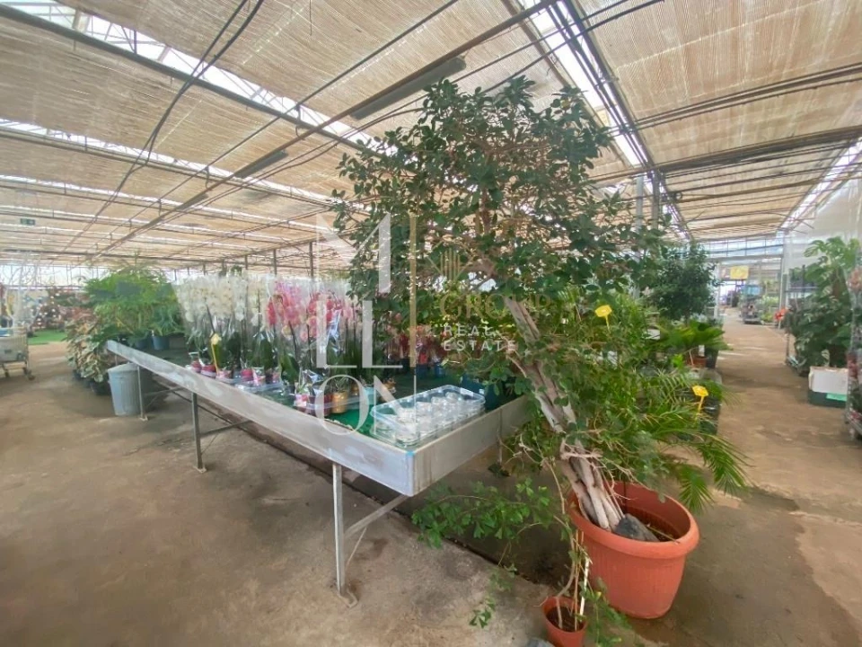 Terreno para Venda em Lagoa e Carvoeiro Foto 43