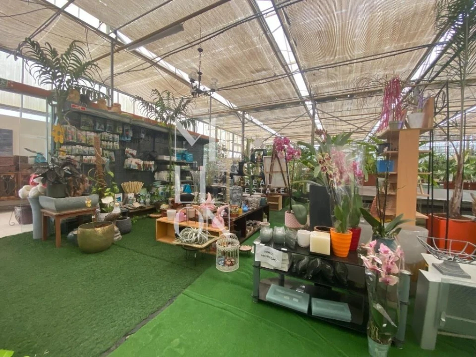 Terreno para Venda em Lagoa e Carvoeiro Foto 49