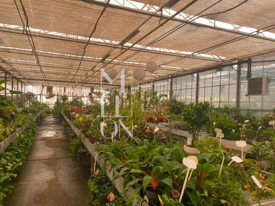 Terreno para Venda em Lagoa e Carvoeiro Foto 30