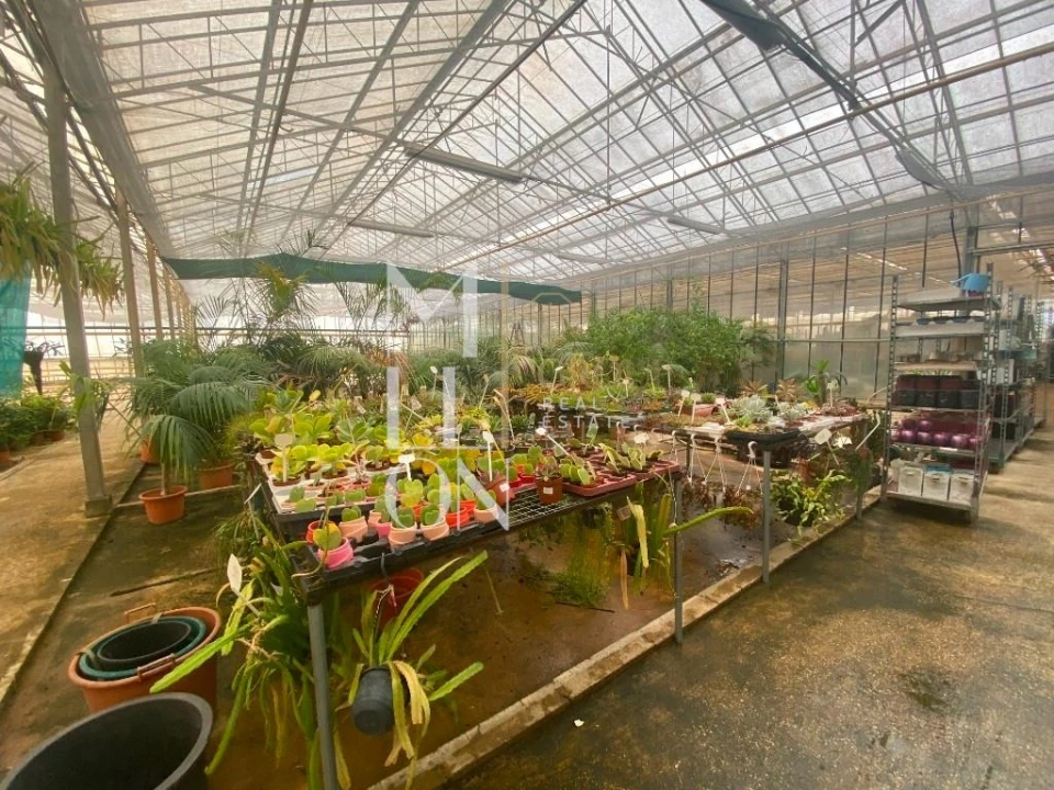 Terreno para Venda em Lagoa e Carvoeiro Foto 24