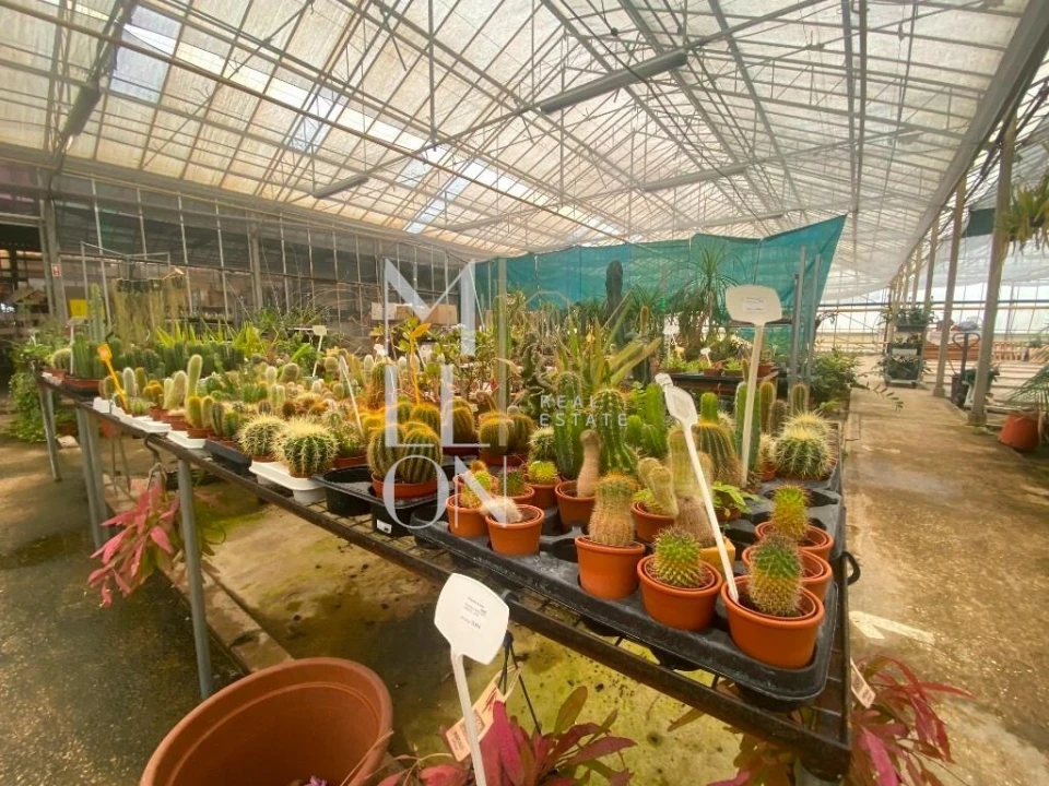 Terreno para Venda em Lagoa e Carvoeiro Foto 13