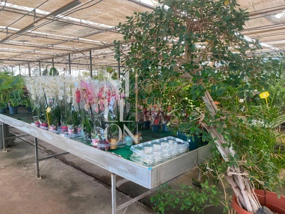 Terreno para Venda em Lagoa e Carvoeiro Foto 42