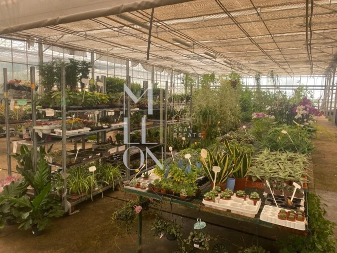 Terreno para Venda em Lagoa e Carvoeiro Foto 20