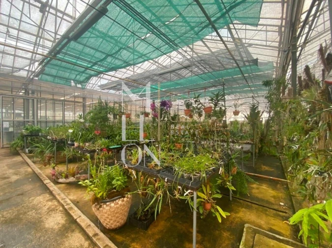 Terreno para Venda em Lagoa e Carvoeiro Foto 23