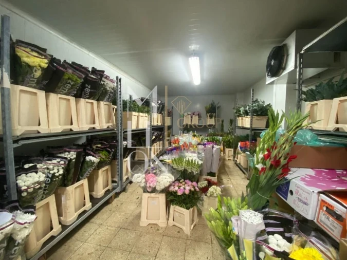 Terreno para Venda em Lagoa e Carvoeiro Foto 22