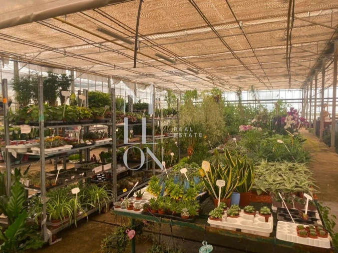 Terreno para Venda em Lagoa e Carvoeiro Foto 31