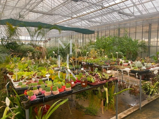 Terreno para Venda em Lagoa e Carvoeiro Foto 25